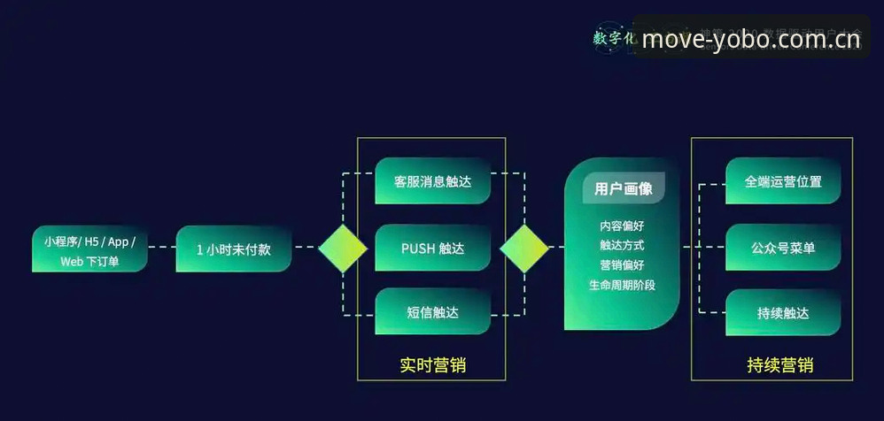 YOBO体育APP功能深度评测：从安装到实战的全方位解析